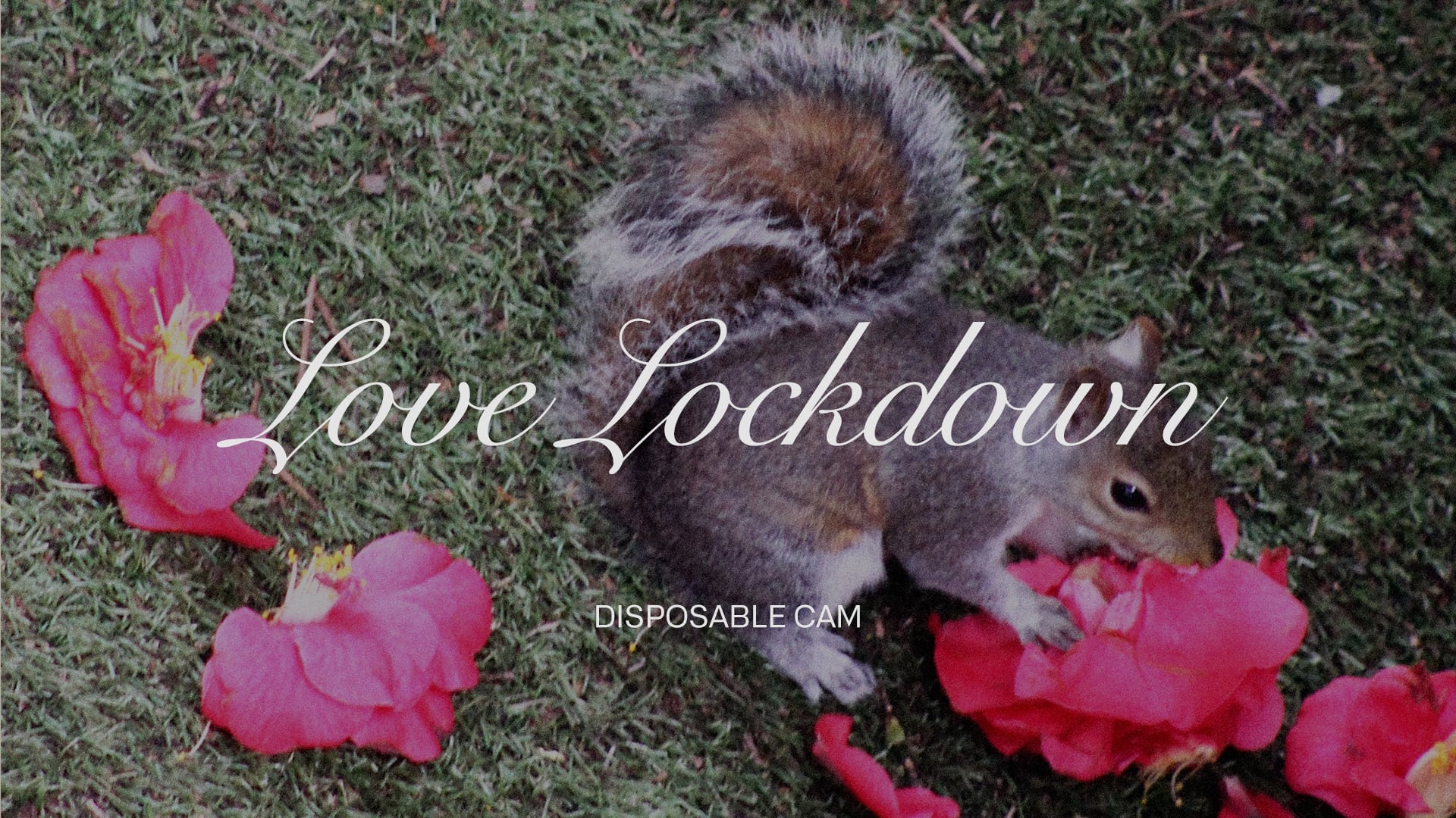 love lockdown