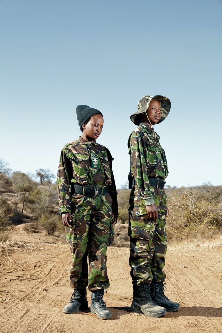 Black Mambas Felicia and Joy, Balule Nature Reserve, South Africa