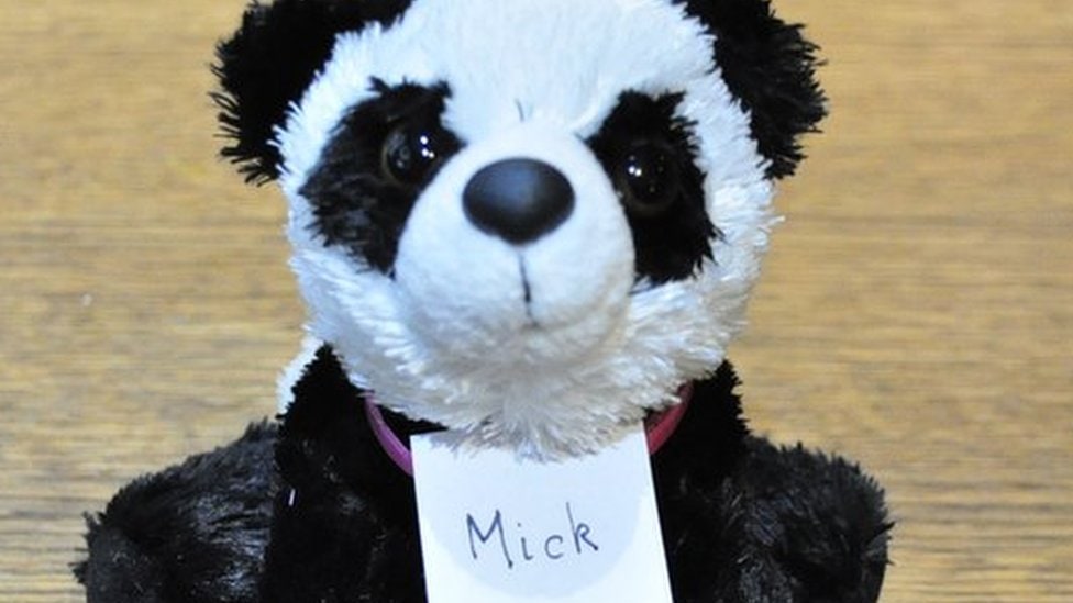 Panda Mick Turnip Prize