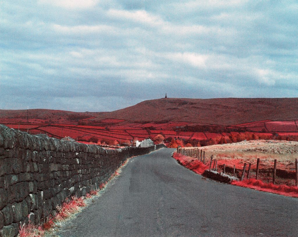 rural road stretching into red hills
