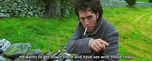 Withnail and I Bull