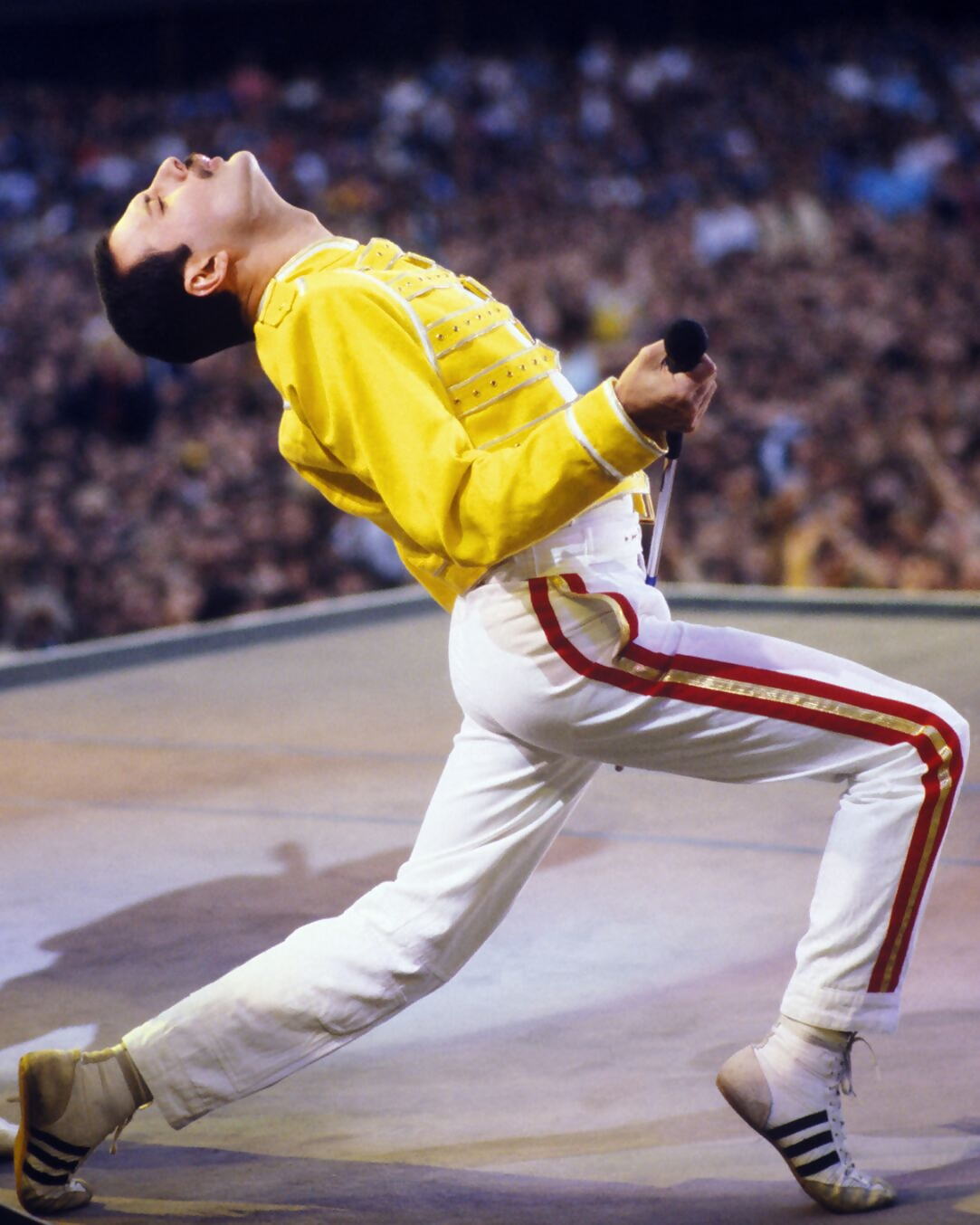 Freddie Mercury Maine Road
