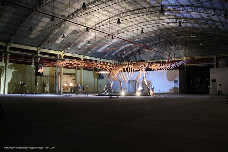 Titanosaur National History Museum