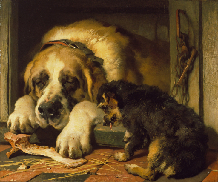 edwin_landseer__doubtful_crumbs__1858-1859_-_the_wallace_collection