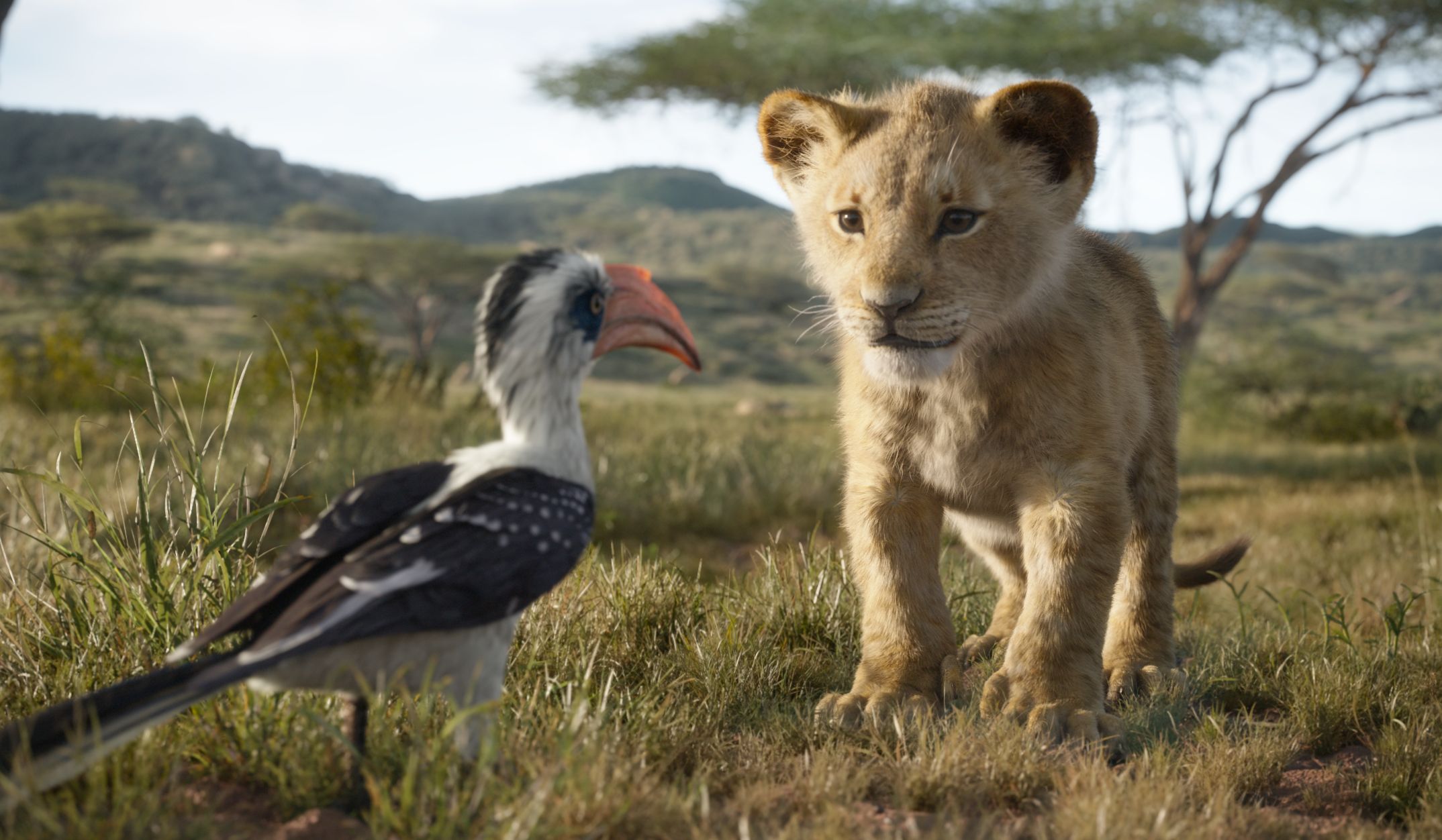 the lion king live-action remake