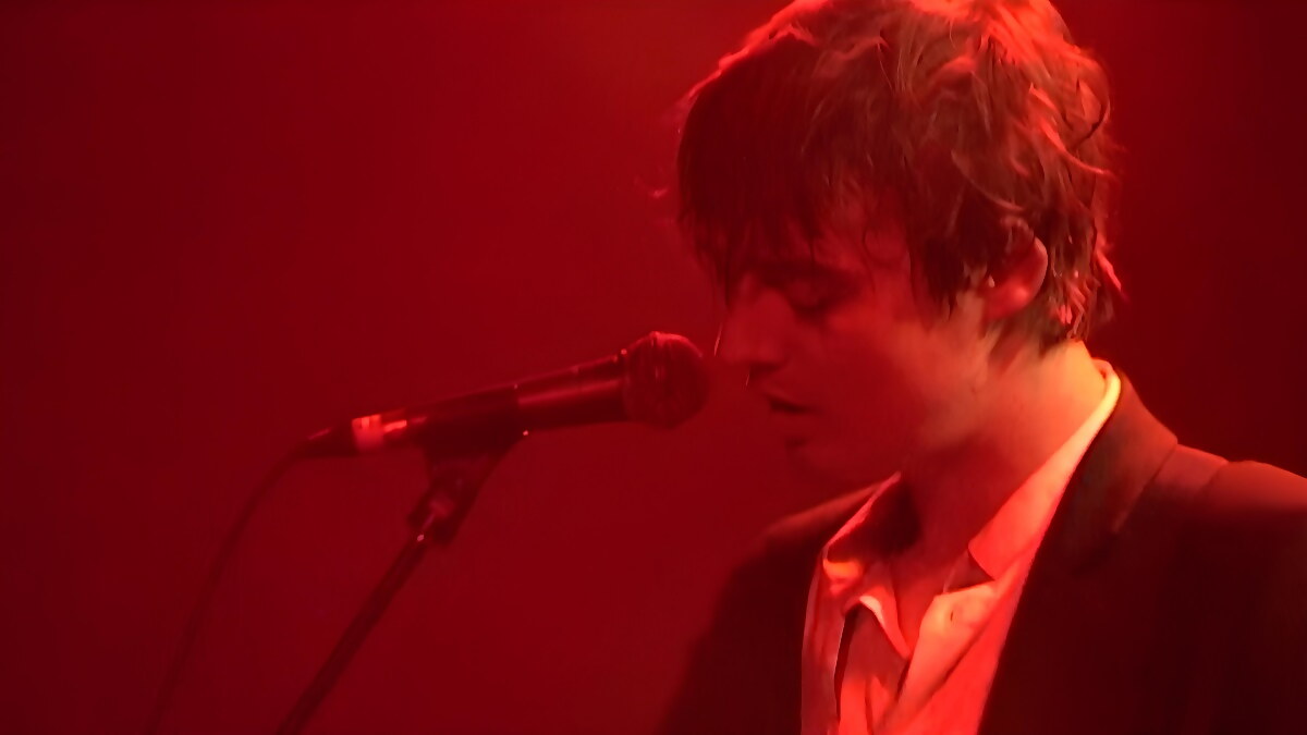 peter doherty performing live