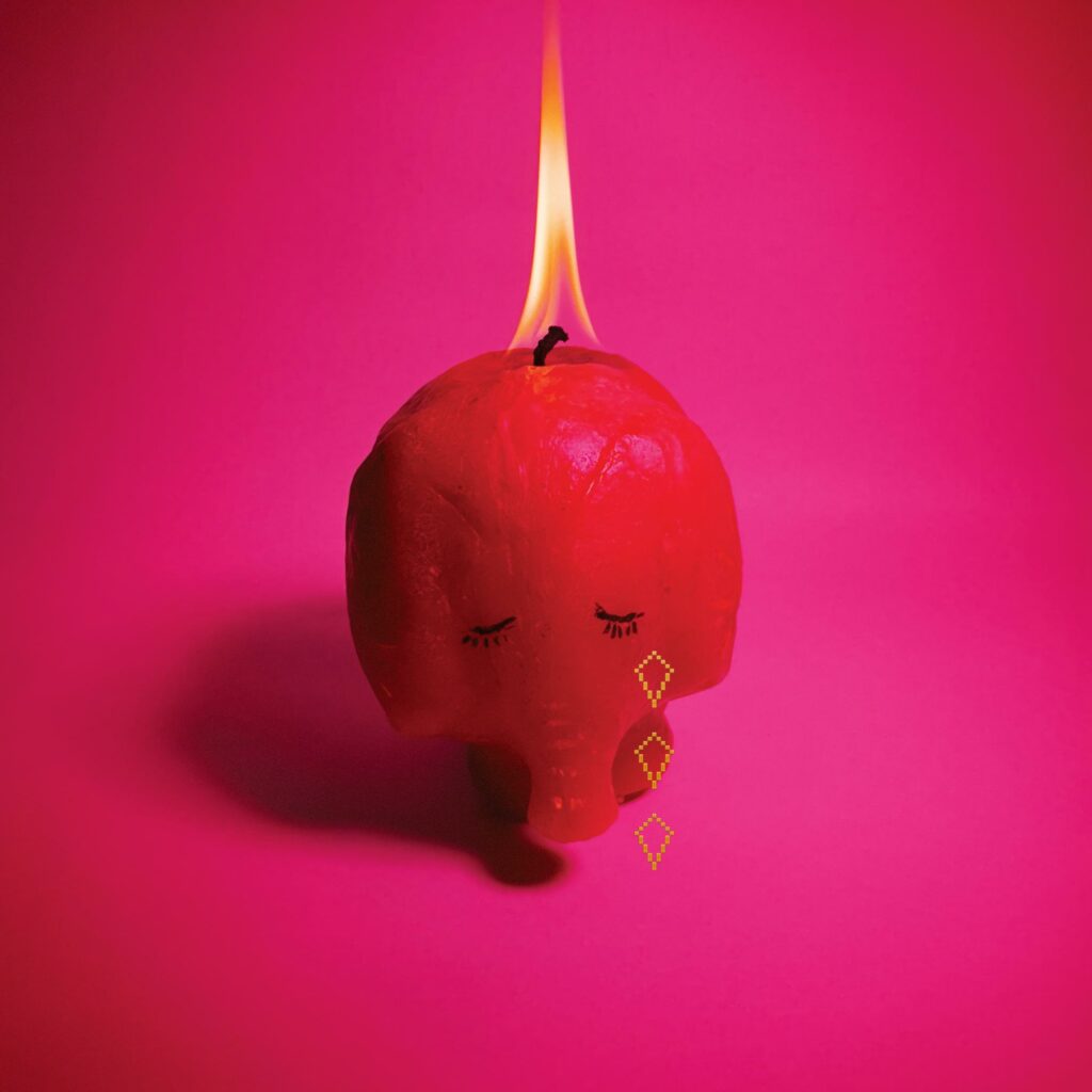 Arcade Fire_Pink Elephant - album artwork