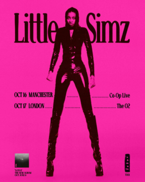 Little Simz tour