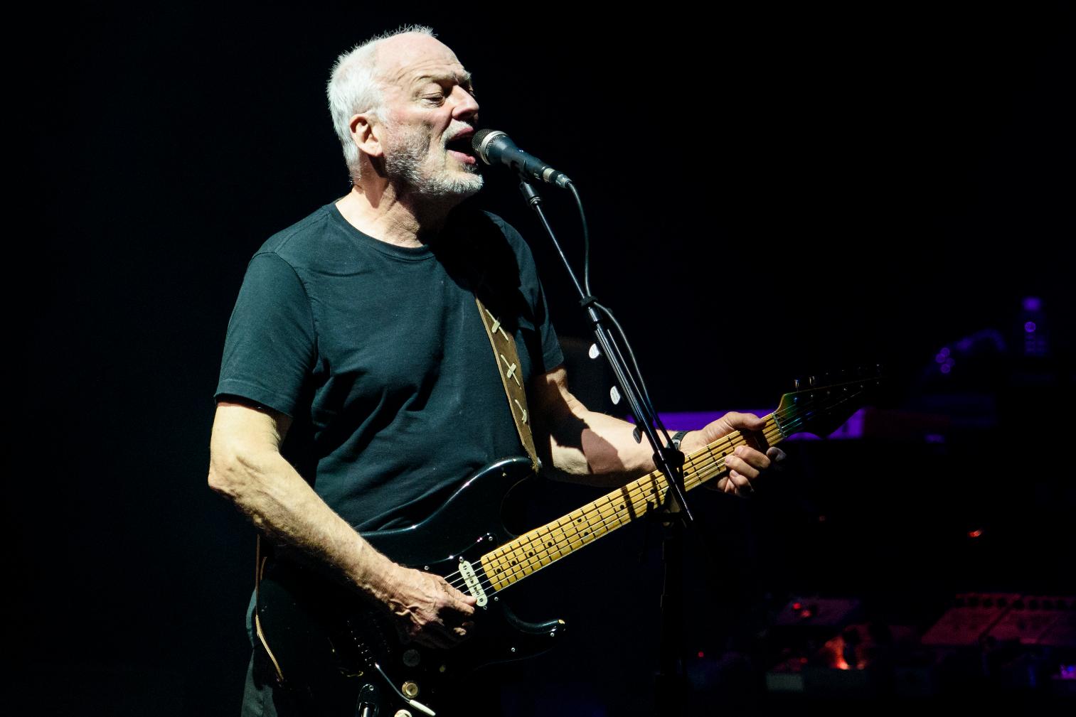 David Gilmour